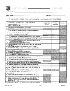 Child Support Form 14
